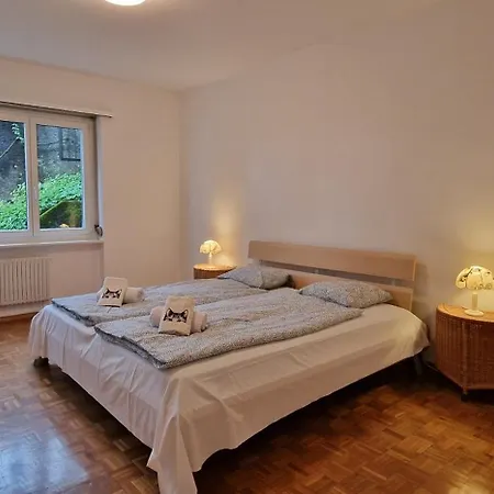 Lakeview Private Parking & Self Check-in * Lugano